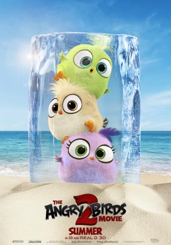 The Angry Birds Movie 2 5