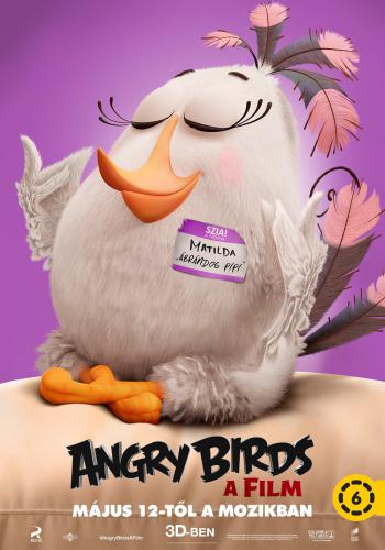 The Angry Birds Movie 8