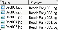 Flash Renamer rất đáng tin cậy