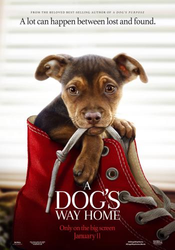 A Dogs Way Home 1