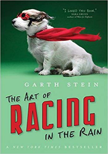 The Art of Racing in the Rain 3