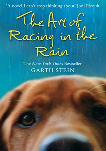 The Art of Racing in the Rain 4