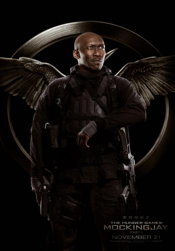 The Hunger Games Mockingjay 12