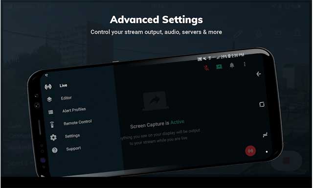 Phần cài đặt nâng cao giúp người dùng kiểm soát các máy chủ, âm thanh,...