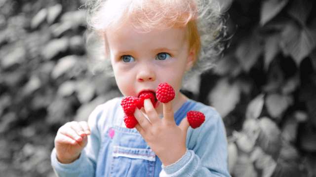 Adobe Photoshop Elements cho Mac tự động chỉnh ảnh