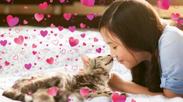 Adobe Photoshop Elements cho Mac tự động áp dụng hiệu ứng vui nhộn