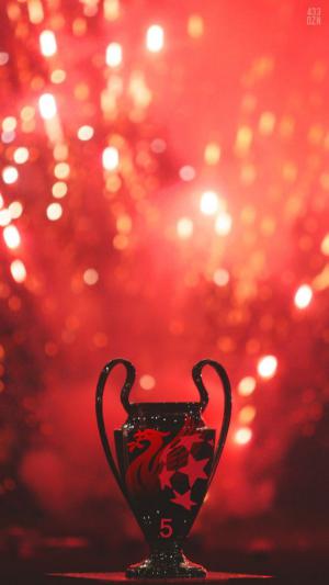 Hinh nen Liverpool cho di dong 45