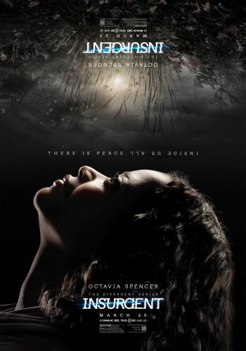 Insurgent 14