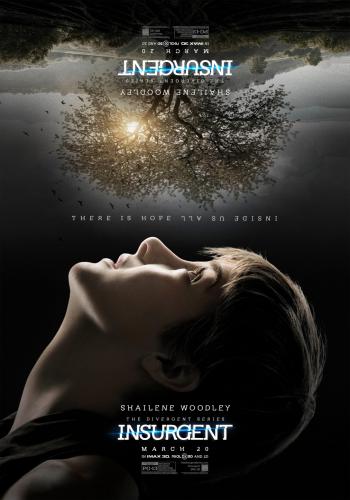 Insurgent 15
