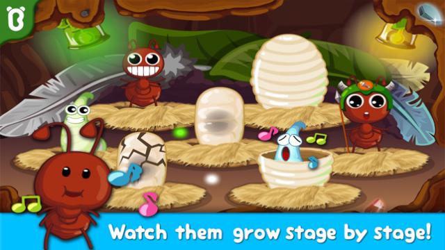 Xem vòng đời của loài kiến