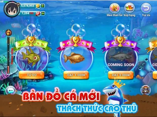 Bản đồ cá trong DzoCá rất đa dạng