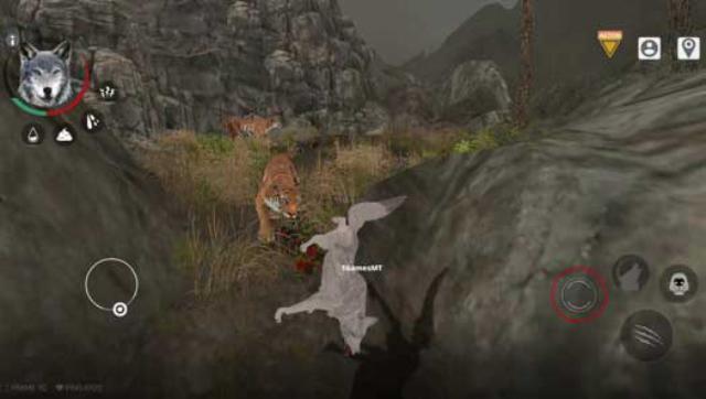 Săn mồi và chiến đấu với các động vật hung dữ