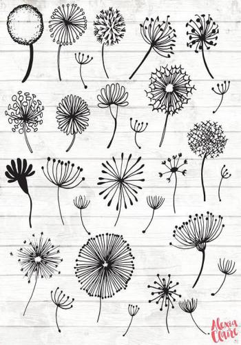 Bộ hình Doodle Art