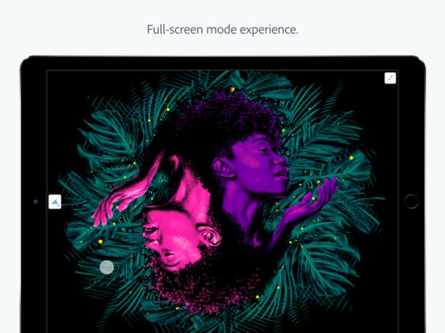 Trải nghiệm chế độ toàn màn hình của Adobe Fresco 