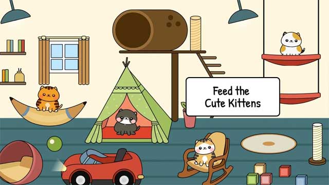 Hãy trở thành một phần trong cuộc sống của những chú mèo dễ thương
