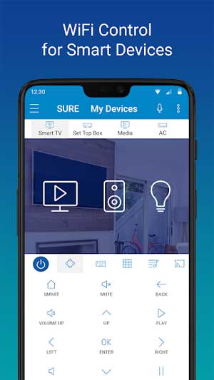 Kiểm soát thiết bị thông qua WiFi