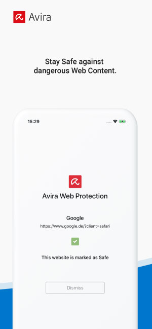 Bảo vệ web