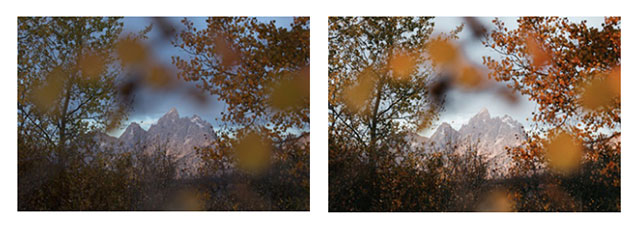 Lightroom presets này nổi bật với tông màu cam, nâu đậm chất mùa thu