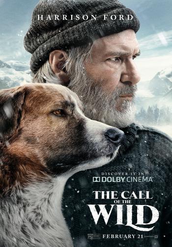 The Call of the Wild 3