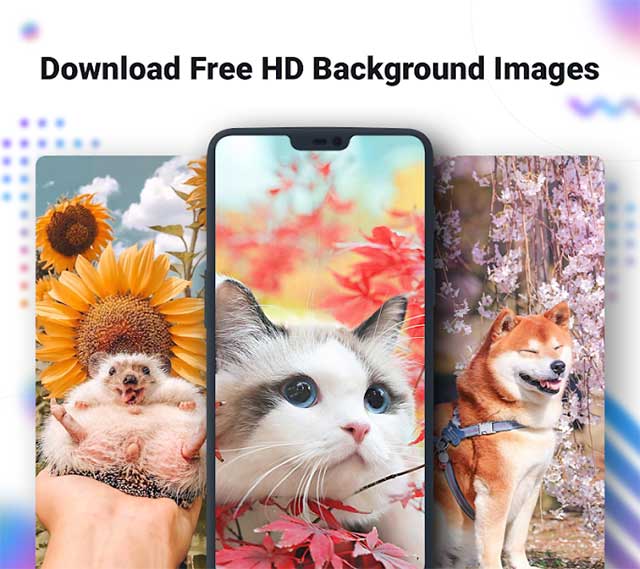 Nox Lucky Wallpaper là ứng dụng hình nền miễn phí cho Android