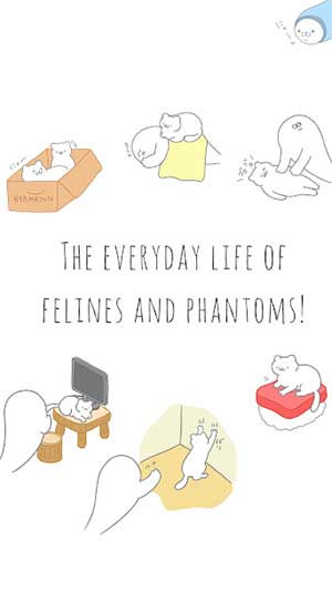 Quan sát những hoạt động thường ngày của các con mèo