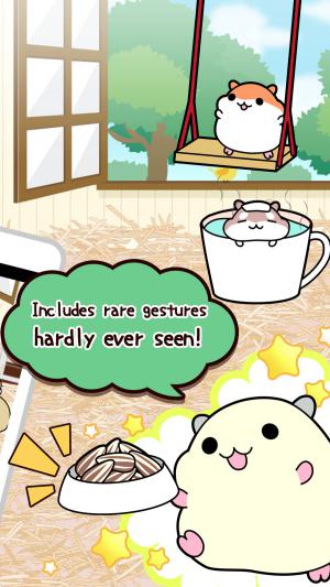 Bày đồ ăn và đồ chơi để dụ chuột