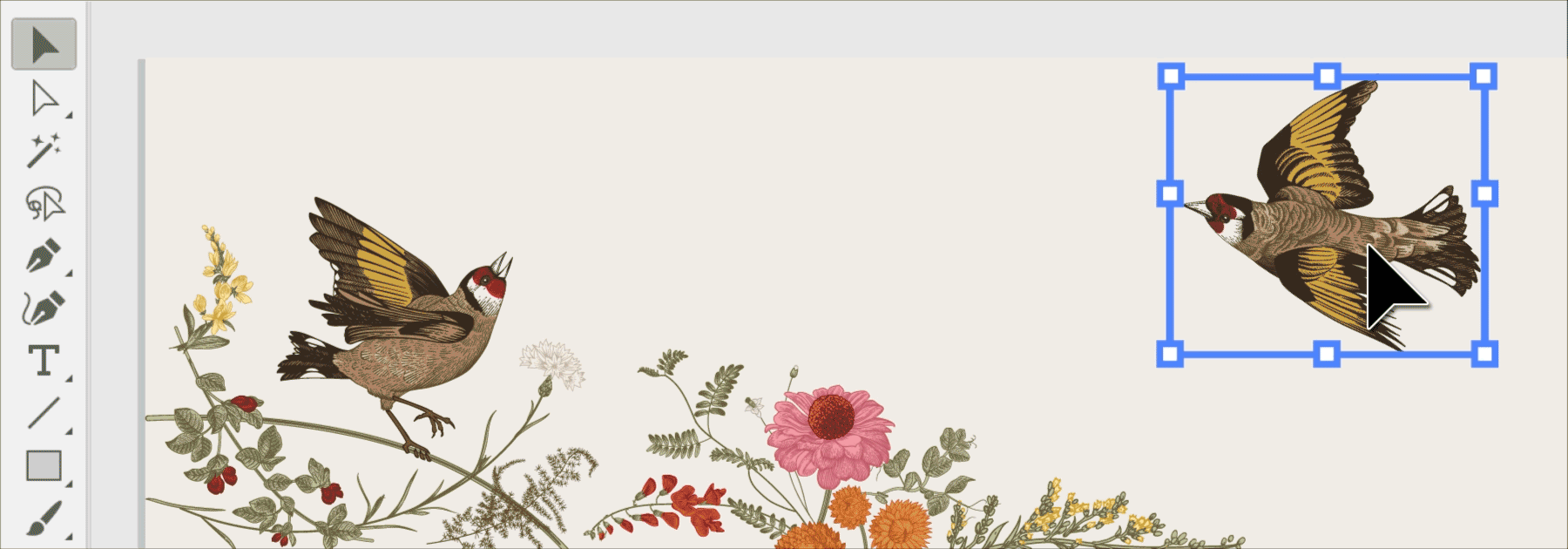 Chỉnh sửa trực tiếp trên Adobe Illustrator 