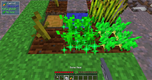 Fertilization Mod bổ sung nhiều loại phân bón dạng bột xương cho Minecraft