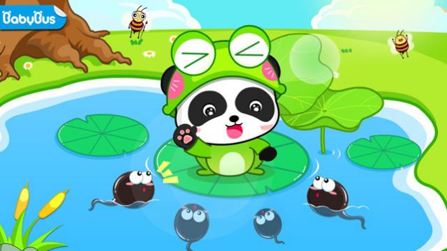 Tadpoles Mommy cho bạn thưởng thức câu chuyện về ếch mẹ và những chú nòng nọc con