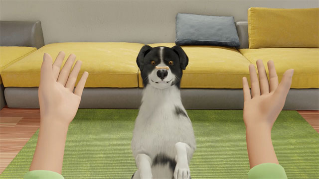 Chăm sóc cún cưng tại nhà trong game mô phỏng Dog Trainer