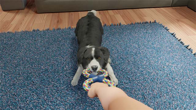 Huấn luyện chó các thao tác, hành động khác nhau trong game Dog Trainer