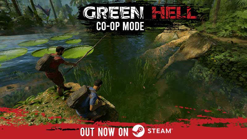Co-op mode