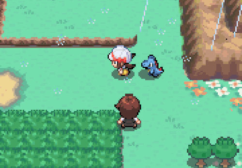 Săn Pokemon, huấn luyện và đem đi chiến đấu trong Pokemon SoulSilver Version