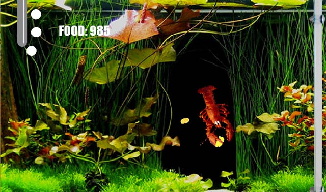 Aquarium Life là game mô phỏng chăm sóc bể cá cảnh trên PC