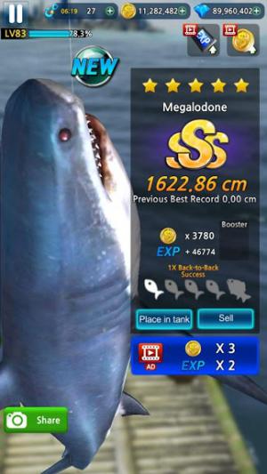 Đánh bắt những cón cá lớn