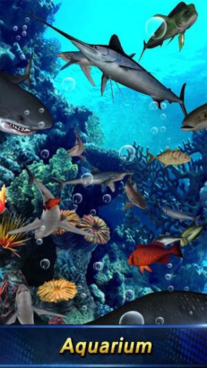 Hơn 250 loài cá khác nhau