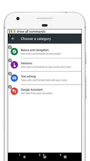 Voice Access cung cấp nhiều loại lệnh