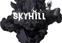 SKYHILL: Black Mist