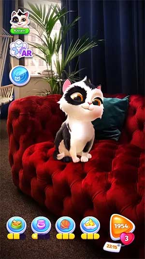 Chăm sóc một chú mèo dễ thương