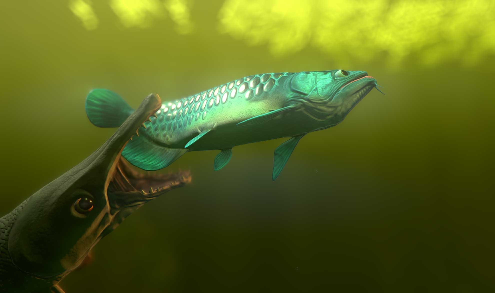 Thay đổi tập quán của cá trong Feed and Grow: Fish