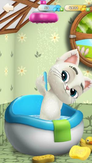 Tận hưởng giờ tắm vui vẻ cùng thú cưng dễ thương