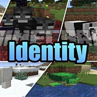 Identity Mod