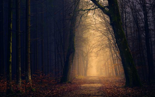 Cool Wallpapers 28