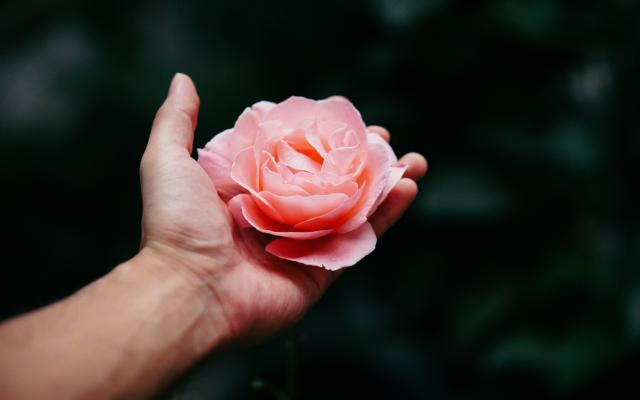 Cool Wallpapers 38