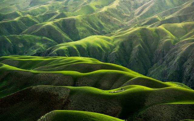 qingbao meng 01 igFr7hd4 unsplash