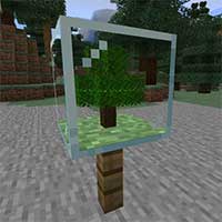 Plant In a Jar Mod