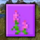 🖼️