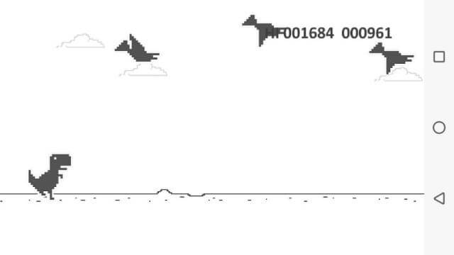 Tránh các vật cản như chim, cây...