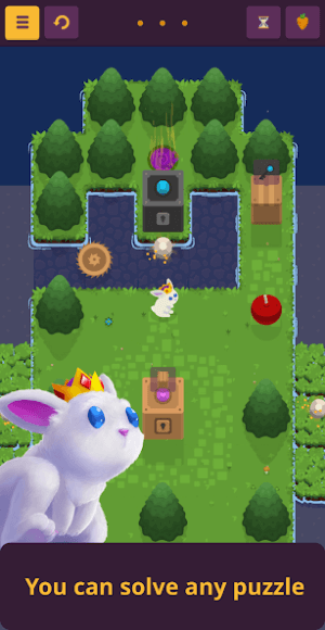 Phiêu lưu cùng thỏ đáng yêu và giải các câu đố trong King Rabbit 