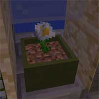 Botany Pots Mod